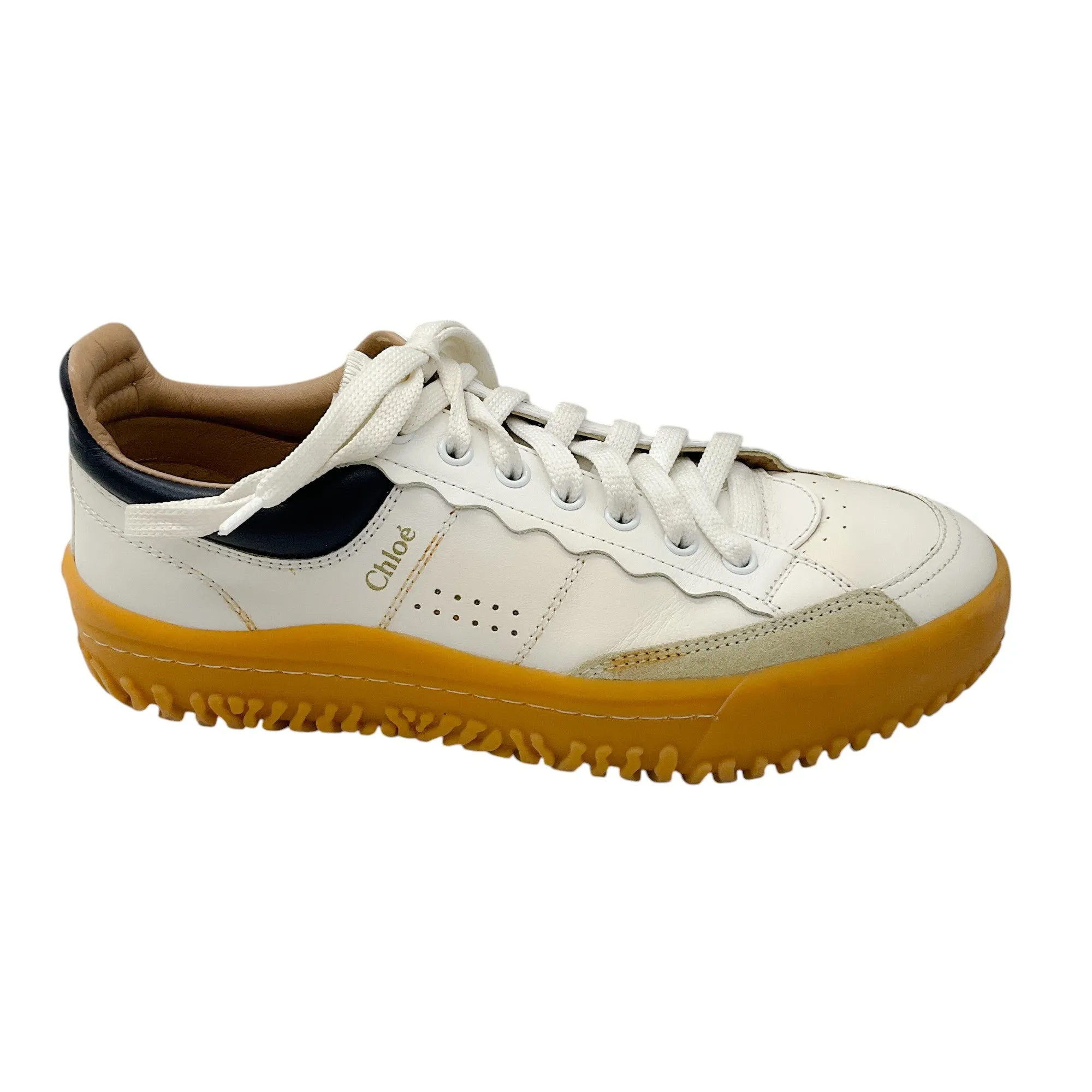 Chloe White / Navy Blue Suede Trimmed Leather Frankie Sneakers