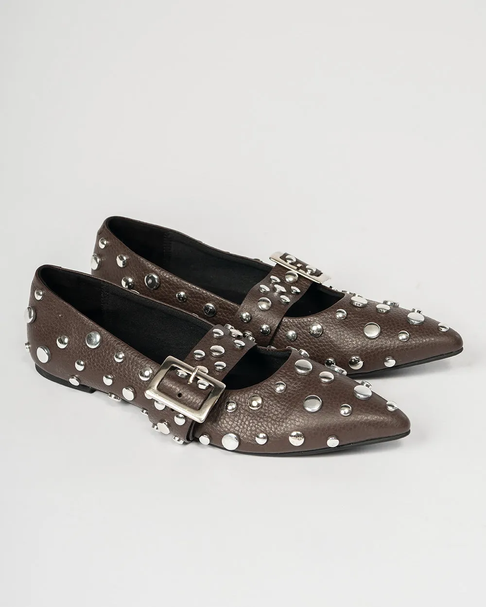 POINTER FLATS BROWN