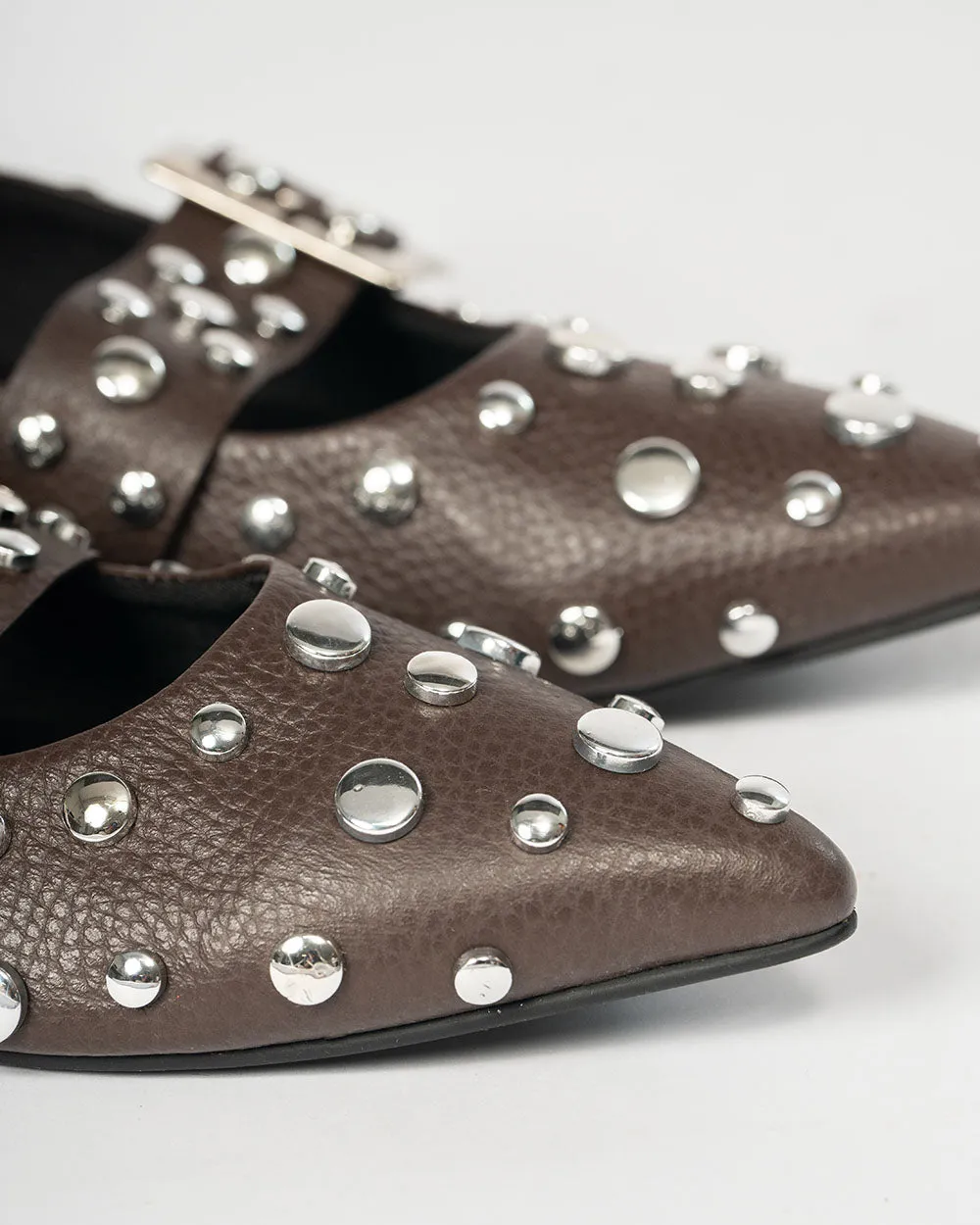 POINTER FLATS BROWN
