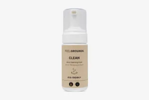Shoe Cleansing Foam Eco