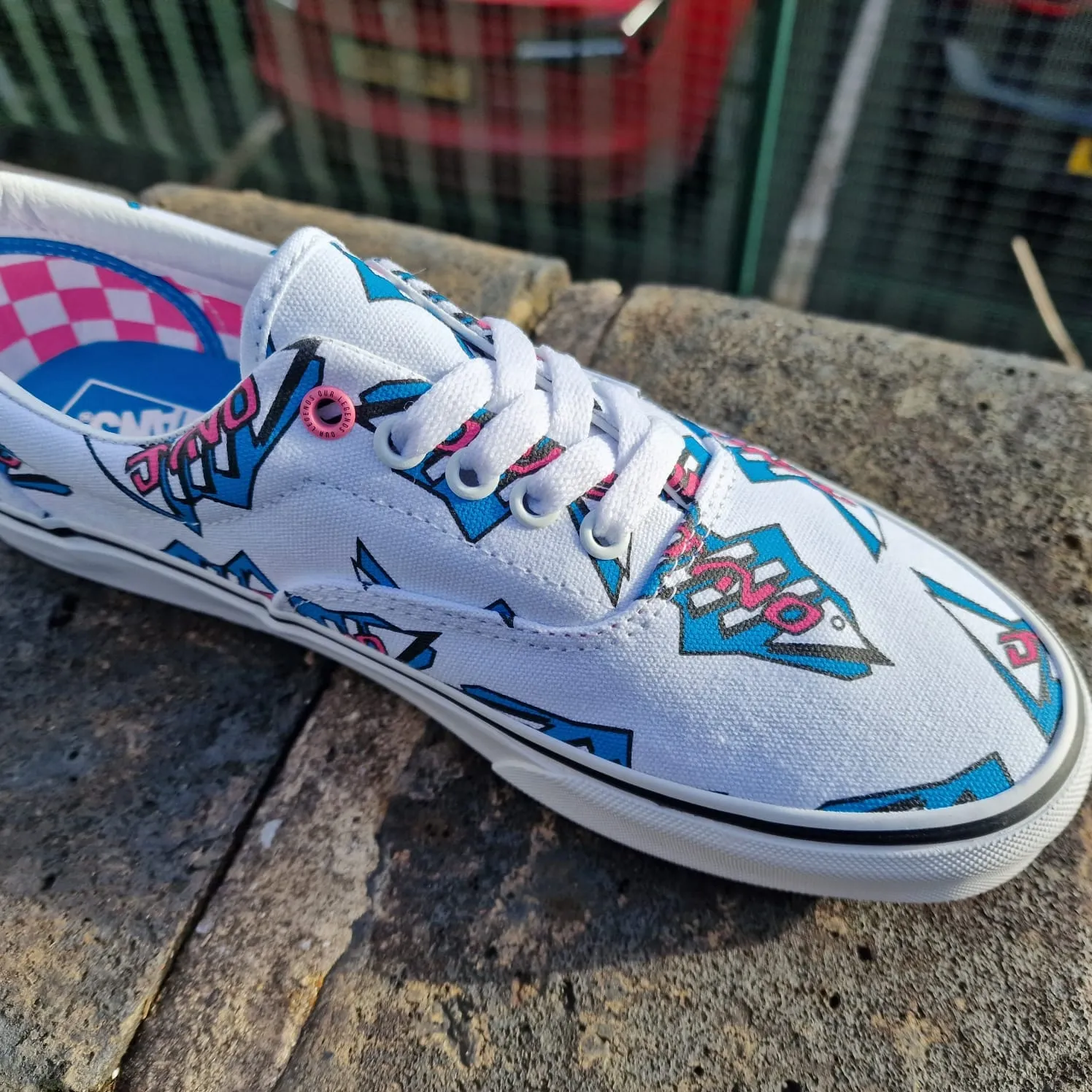 Vans x Our Legends GT / Dyno Era Shoes White / Blue