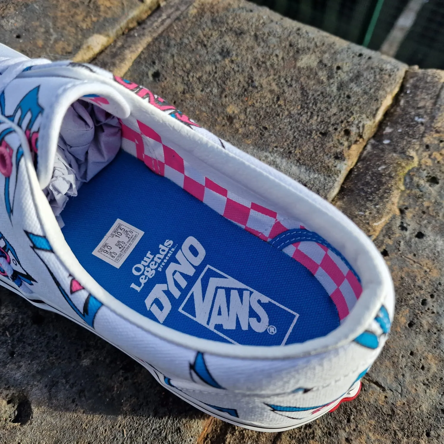 Vans x Our Legends GT / Dyno Era Shoes White / Blue